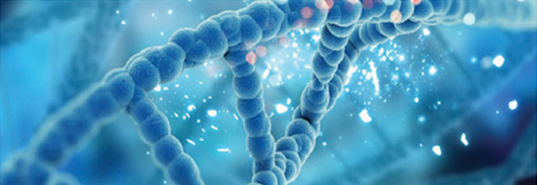 Booster: Rejuviome-R: A unique enzyme that supports DNA repair and helps reduce daily damage from UV exposure and pollution.